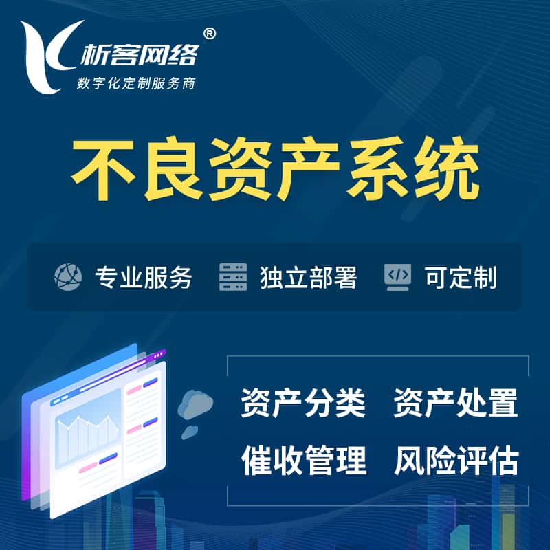 山西不良资产管理系统