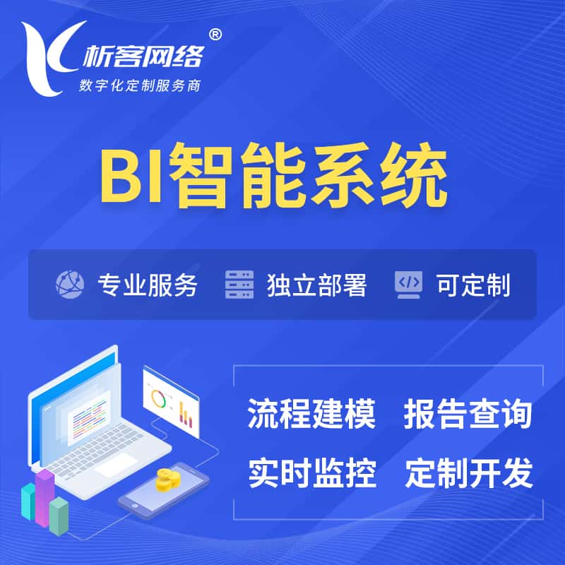 山西BI智能系统 | BI数据可视化